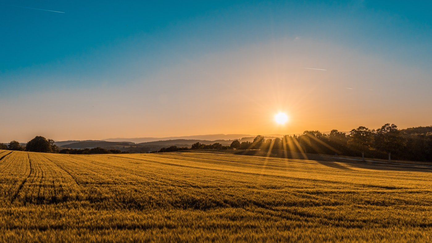 Agricultural fields and farming