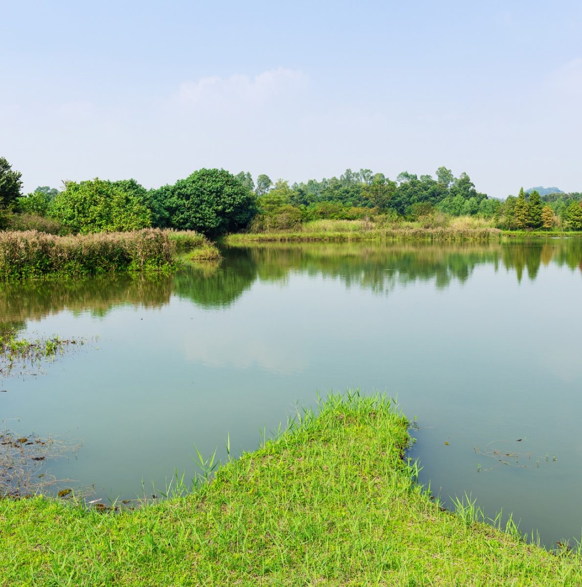 Lakes & Ponds Colouring