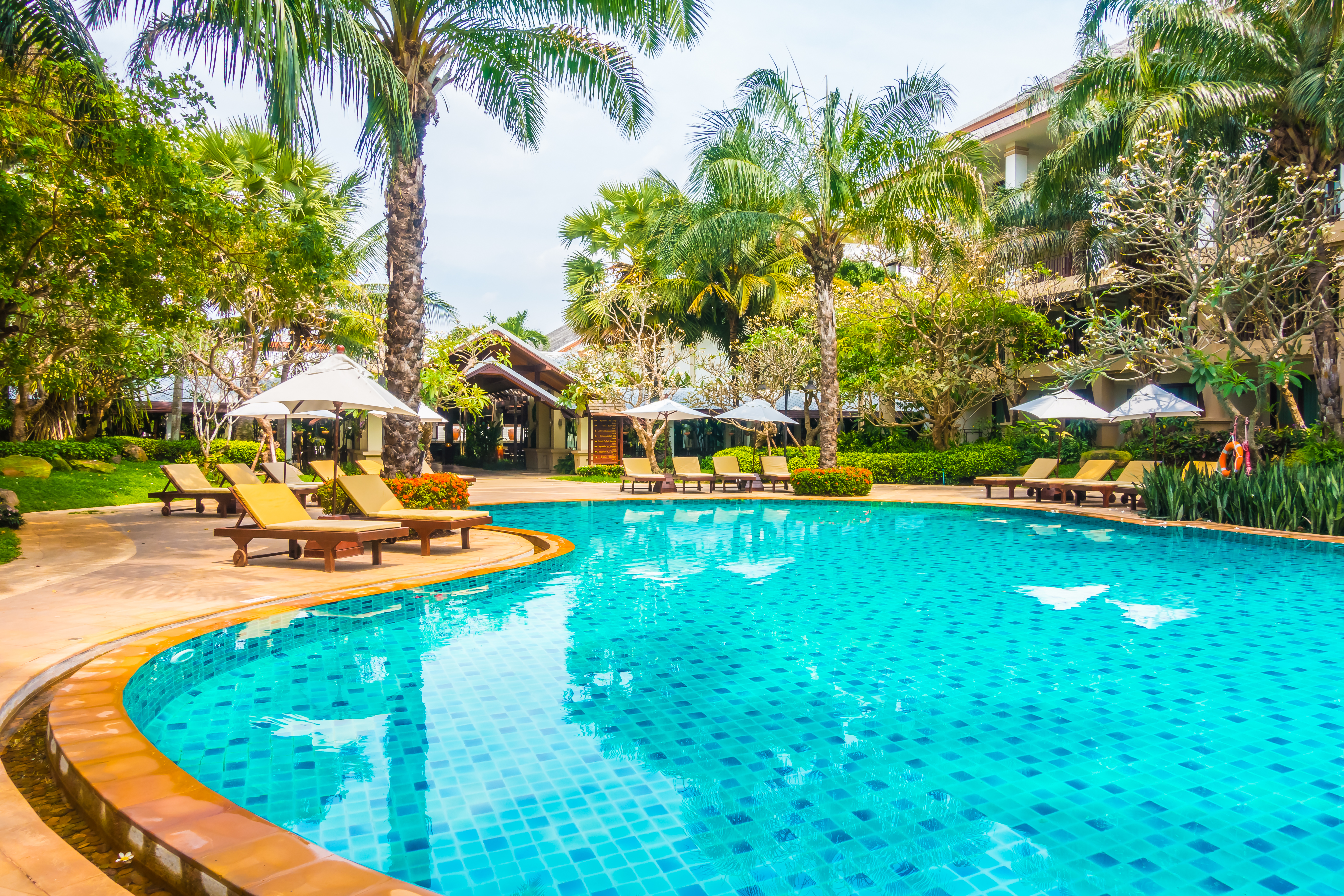 Tropical pool and aquatic water feature